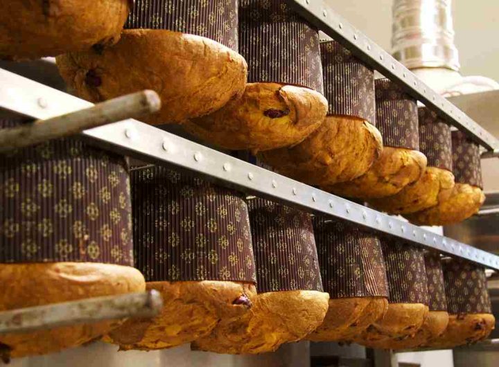 Panettone