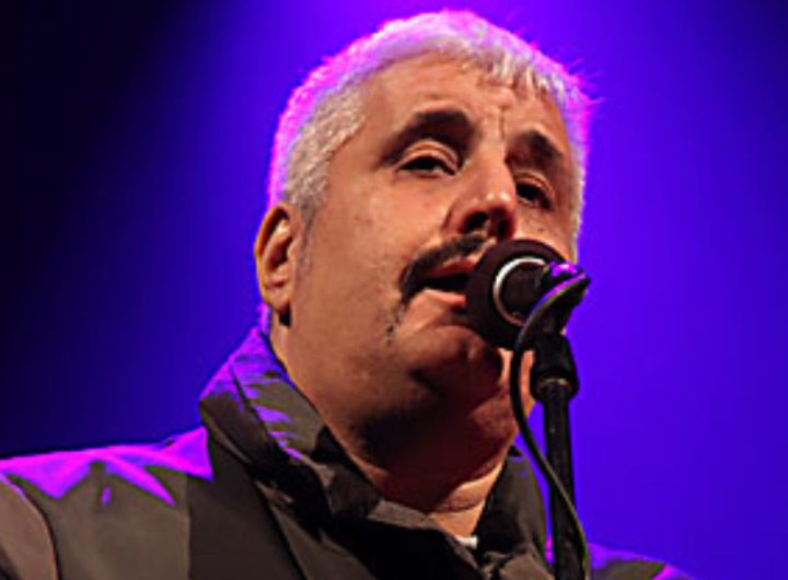 Pino Daniele durante un concerto nel 2009 (Wikipedia Famiglia Iaconianni) (1)