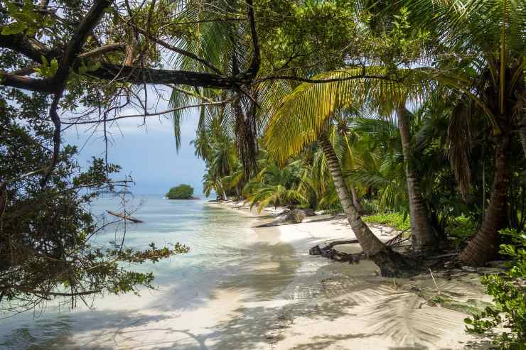 Una spiaggia caraibica
