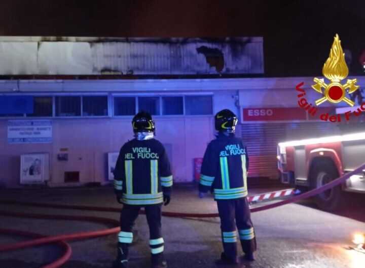 "Incendio all'Ortomercato di Milano: danni ingenti ma nessun ferito"